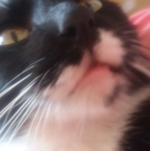 Meet your Posher, Jody